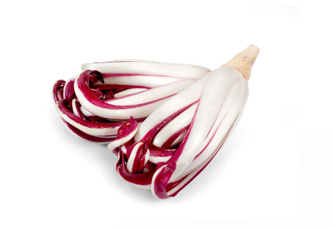 Radicchio rosso Trevisana tardiva