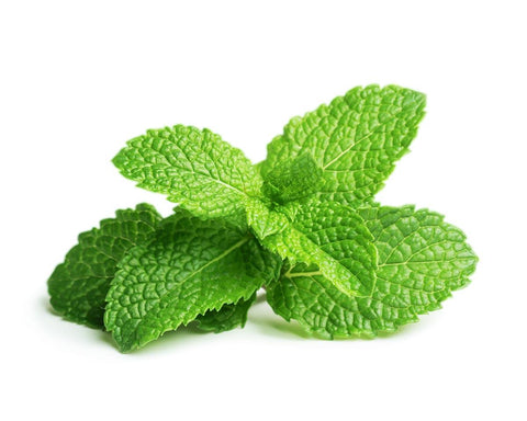 Menta